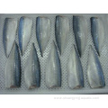 Pacific Mackerel Frozen Mackerel Fillet Seafood